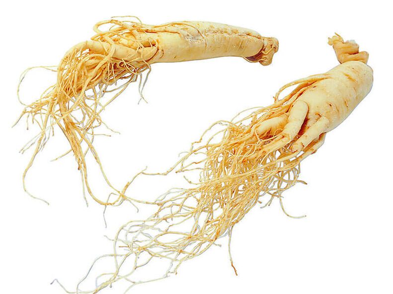 Raiz de ginseng para potência